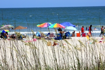 SHOREWOOD - HILTON HEAD