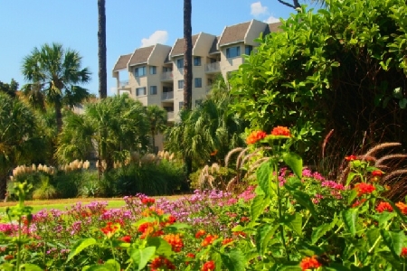 SHOREWOOD - HILTON HEAD